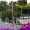 Villa Thassos Paradise_lowest prices_in_Villa_Aegean Islands_Thasos_Thasos Chora