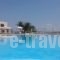 Karma Porto Paros_accommodation_in_Hotel_Cyclades Islands_Paros_Paros Chora