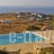 Villa Morfia_lowest prices_in_Villa_Cyclades Islands_Paros_Paros Chora